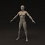 Human Female - Morphable Woman Base Mesh