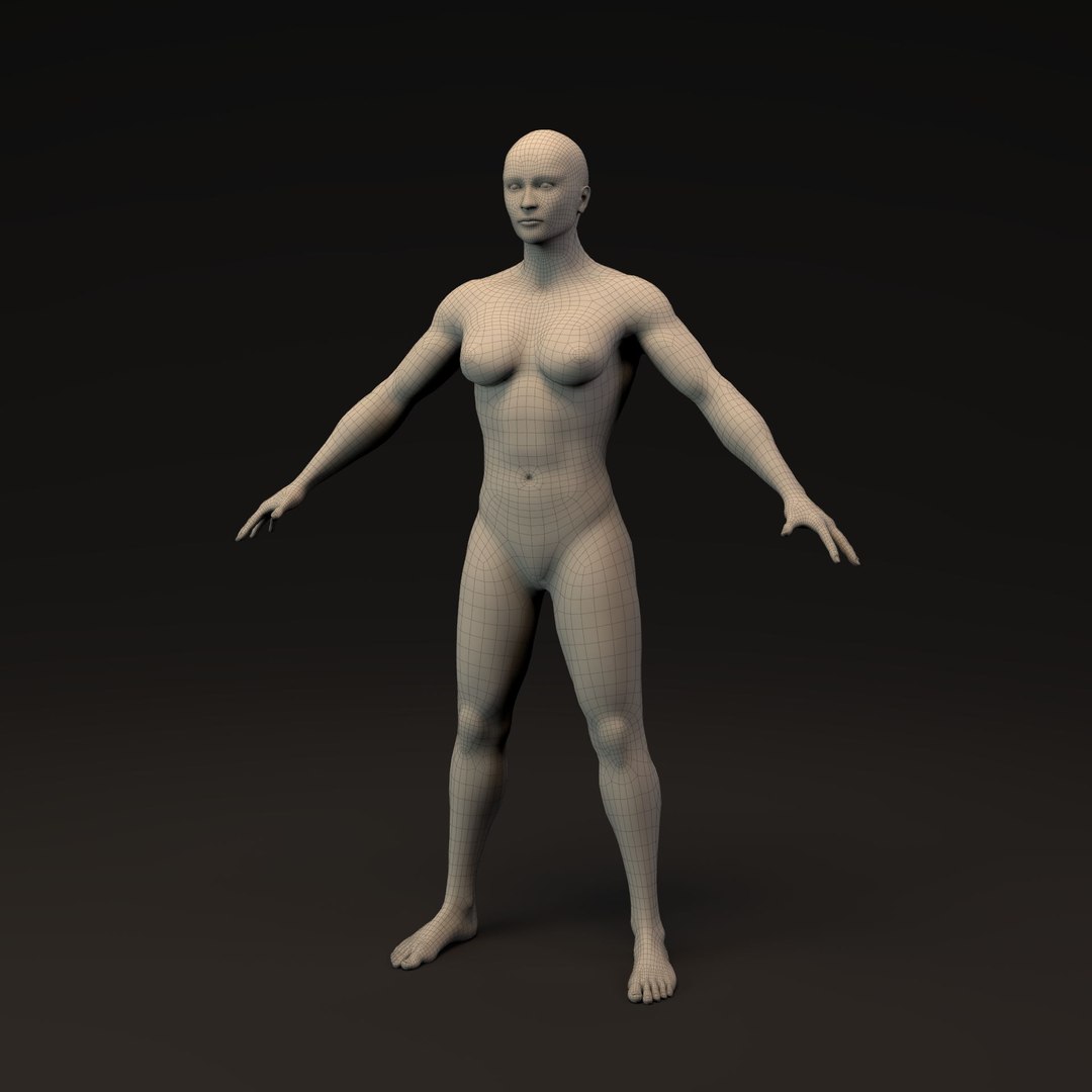 Morphable Woman Base Mesh 3D model https://p.turbosquid.com/ts-thumb/Gy/jR4nVa/aS/morphable_woman_hires_frontb_wire_003/jpg/1732253672/1920x1080/fit_q87/b565aa1c26c5302e374ad95144adb22dcb7035c6/morphable_woman_hires_frontb_wire_003.jpg