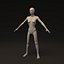 Human Female - Morphable Woman Base Mesh