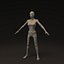 Human Female - Morphable Woman Base Mesh