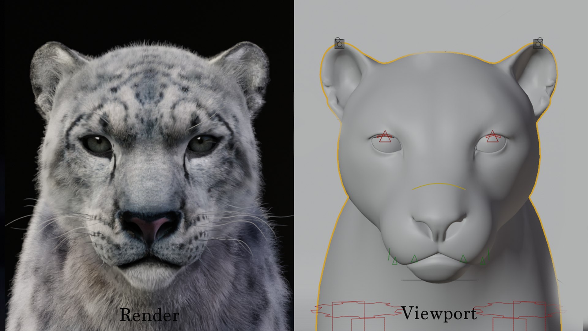 Snow Leopard 3D Model - TurboSquid 2224613