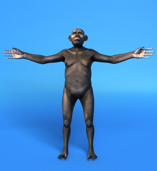アウストラロピテクス女性3Dモデル - TurboSquid 743530