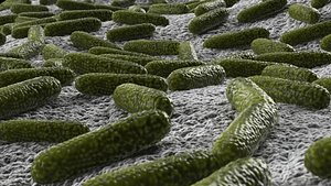 3D model bacteria pack
