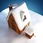 Winter house
