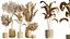 AV Indoor Plants Set 289 Fruit Orange Tree and Areca Palm and Banana Nicolai and Olive model
