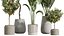 AV Indoor Plants Set 289 Fruit Orange Tree and Areca Palm and Banana Nicolai and Olive model