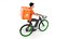 Food Delivery Biker