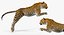 leopard rigged animate 3D model
