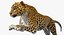 leopard rigged animate 3D model