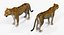 leopard rigged animate 3D model