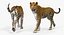 leopard rigged animate 3D model
