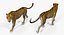 leopard rigged animate 3D model