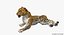 leopard rigged animate 3D model