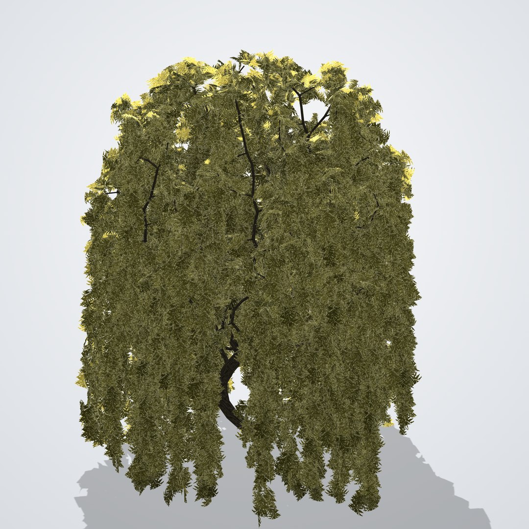 20 Trees Collection - Ornamental, Fruit and Shade Trees model https://p.turbosquid.com/ts-thumb/Gz/BdNMum/kq/salixbabylonica_02_side_right/png/1792518174/1920x1080/fit_q87/e8ef3b3eb6f0647483f6705189185df8669ab994/salixbabylonica_02_side_right.jpg