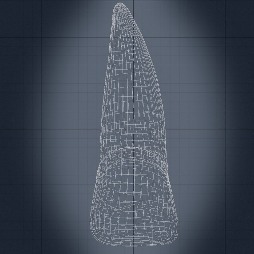 3d Model Incisor Central Tooth