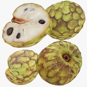 3D Cherimoya model