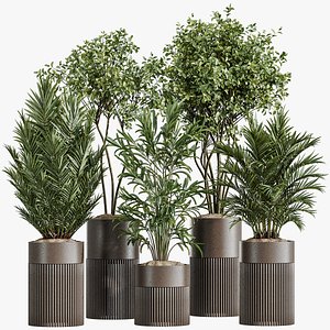 3D AV Indoor Plants Set 330 Palm Kentia and Olive Eucalyptus and Dypsis Palm model