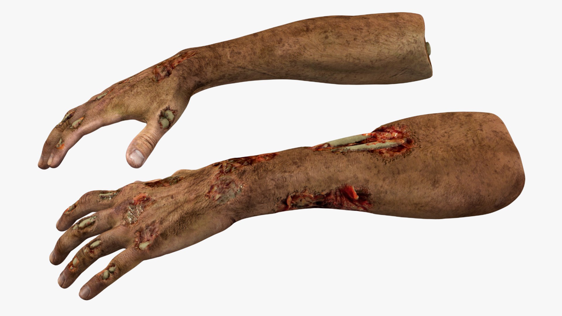 3D Realistic Zombie Hands Rigged for Maya model https://p.turbosquid.com/ts-thumb/Gz/IpP5eH/Sg/realistic_zombie_hands_rigged_008/jpg/1740991269/1920x1080/fit_q87/1e82a63f16dde74b54014539f9e665c529657cbe/realistic_zombie_hands_rigged_008.jpg