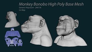 Monkey Bonobo High Poly Base Mesh