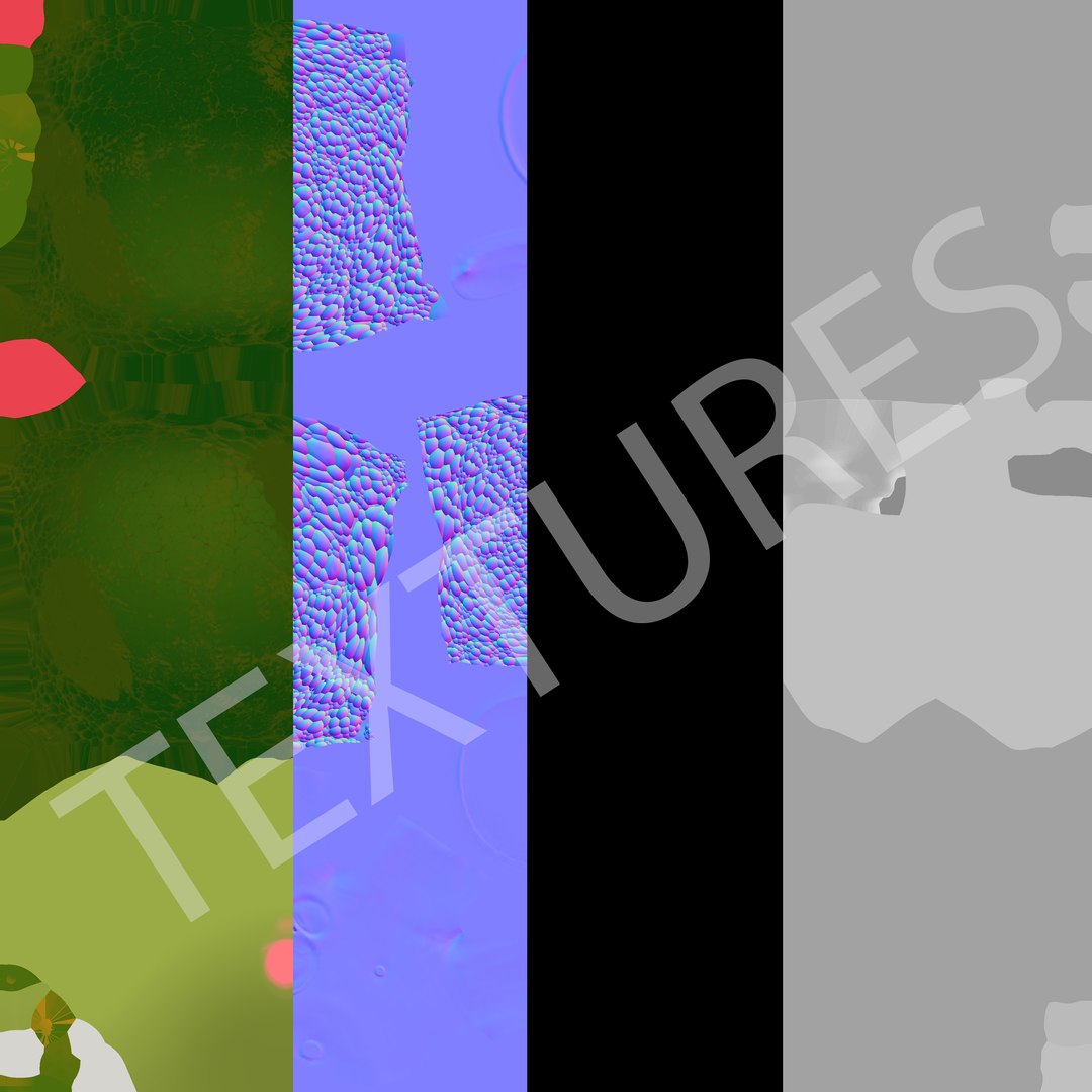 Broccoli model https://p.turbosquid.com/ts-thumb/Gz/JPo6lh/nC/textures/jpg/1737669068/1920x1080/fit_q87/ef6c00a05708e03e1b665bbe2677126d27836614/textures.jpg