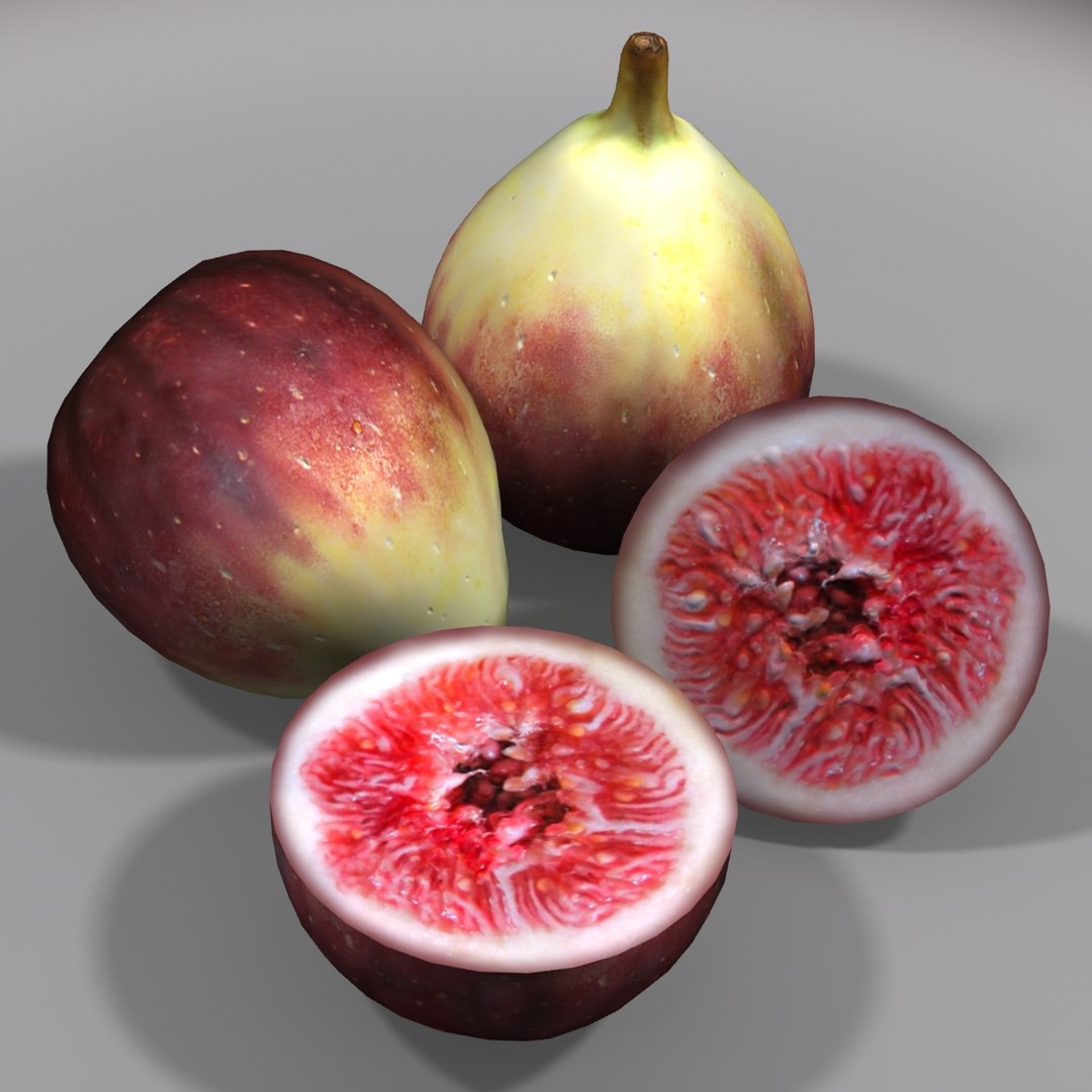 Fig 3d Max