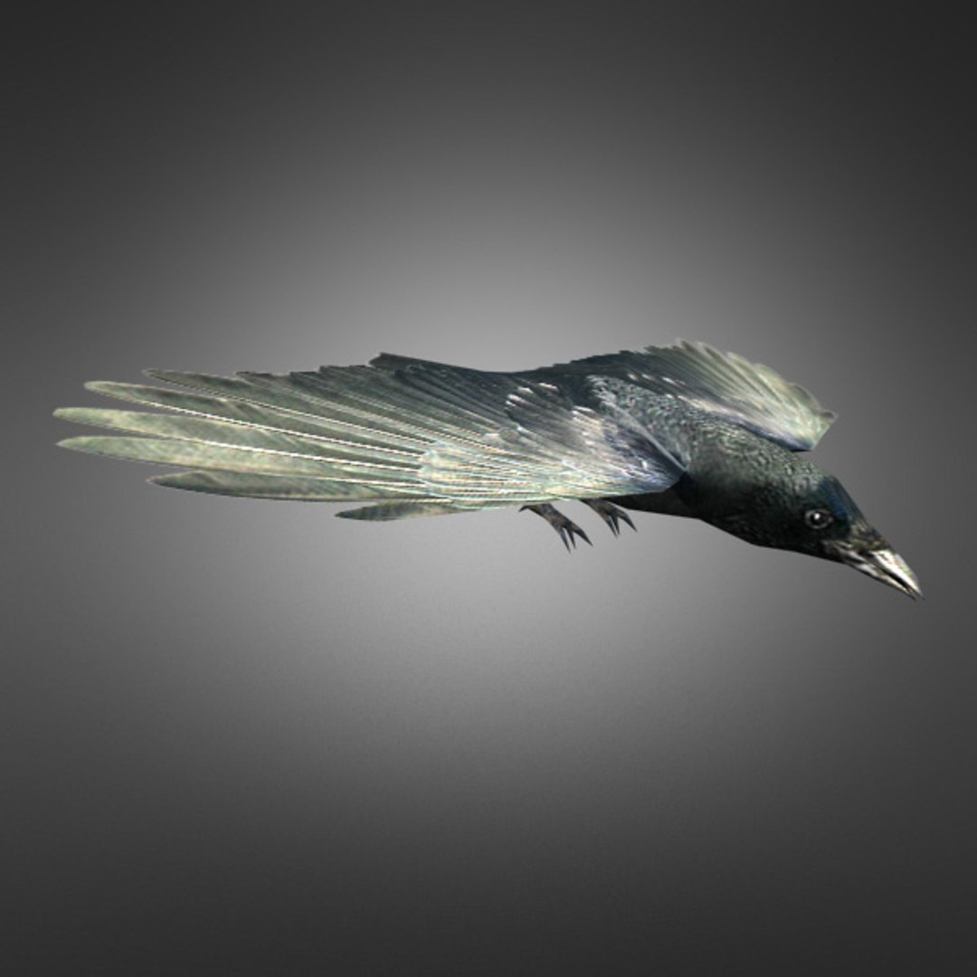 ready games max https://p.turbosquid.com/ts-thumb/Gz/Sx12wr/4E9tVEuR/preview_crow/jpg/1351491124/1920x1080/fit_q87/aa6dfd24e75e918a13f46b77b304756e253114cf/preview_crow.jpg