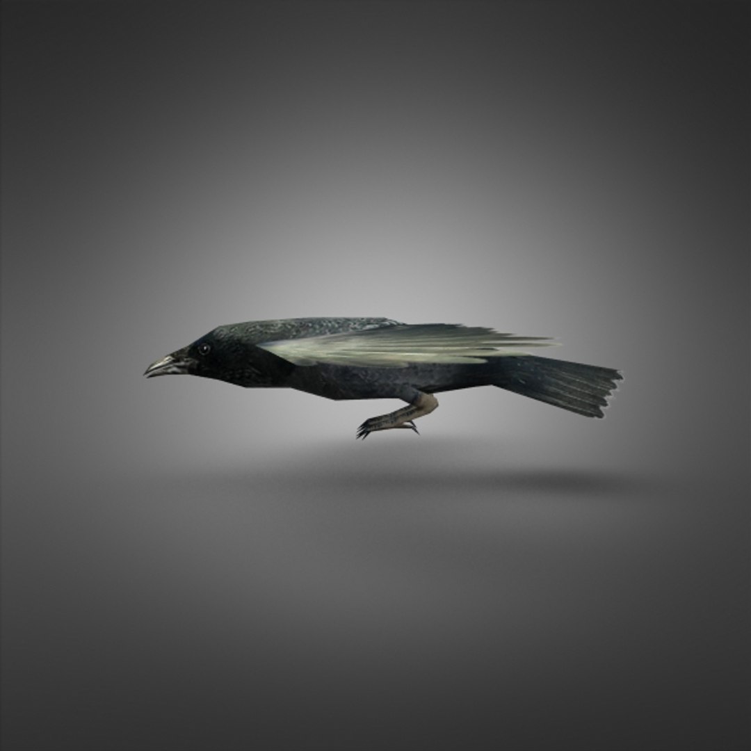 ready games max https://p.turbosquid.com/ts-thumb/Gz/Sx12wr/LuZcUevE/3dcrow03/jpg/1327788781/1920x1080/fit_q87/11632ef0de21078dd3c20a1196e57db006b3bca3/3dcrow03.jpg