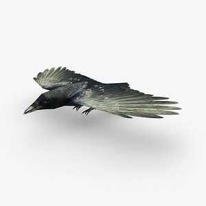 Crow