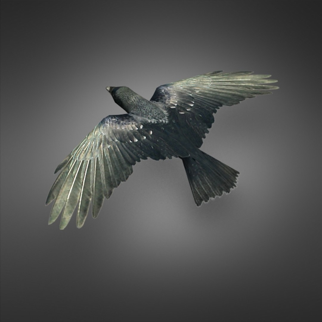 ready games max https://p.turbosquid.com/ts-thumb/Gz/Sx12wr/eT0GvWtr/3dcrow02/jpg/1327788781/1920x1080/fit_q87/15616342546dffd6b08098d5785b67d30b338856/3dcrow02.jpg