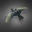 Crow