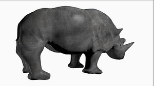 rhinoceros 3D