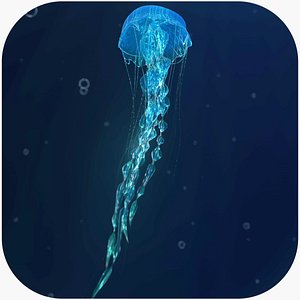 jellyfish animated 3D model