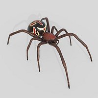 Black Widow Spider