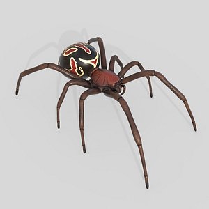 Black Widow Spider