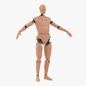 Male Crash Test Dummy 3D Model