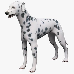 max dalmatian dog rigged
