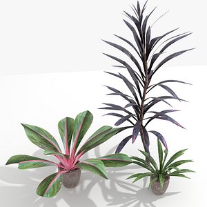 OrnamentalPlantsCollection