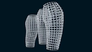 3D Sea Sponge Hexactinellida