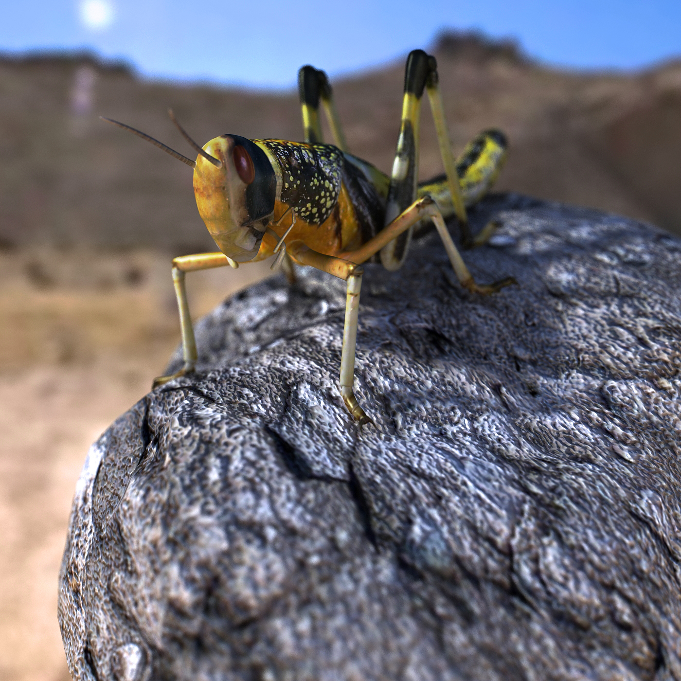 locust 3d model
