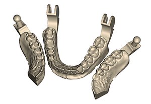 Dental Practice Model Kit 3D model