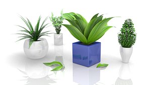 3d 3ds plants bush architectural