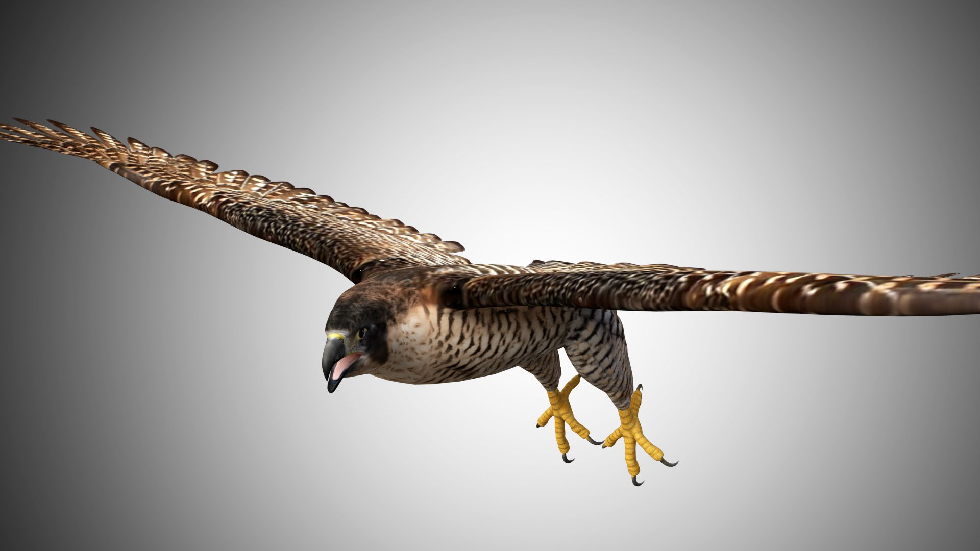 3D rigged realistic https://p.turbosquid.com/ts-thumb/H0/2rpGYF/3UZOCGeX/falcon_fly02/jpg/1598220226/1920x1080/fit_q87/cb761cbbd901520be28385fbcc5691c211611701/falcon_fly02.jpg