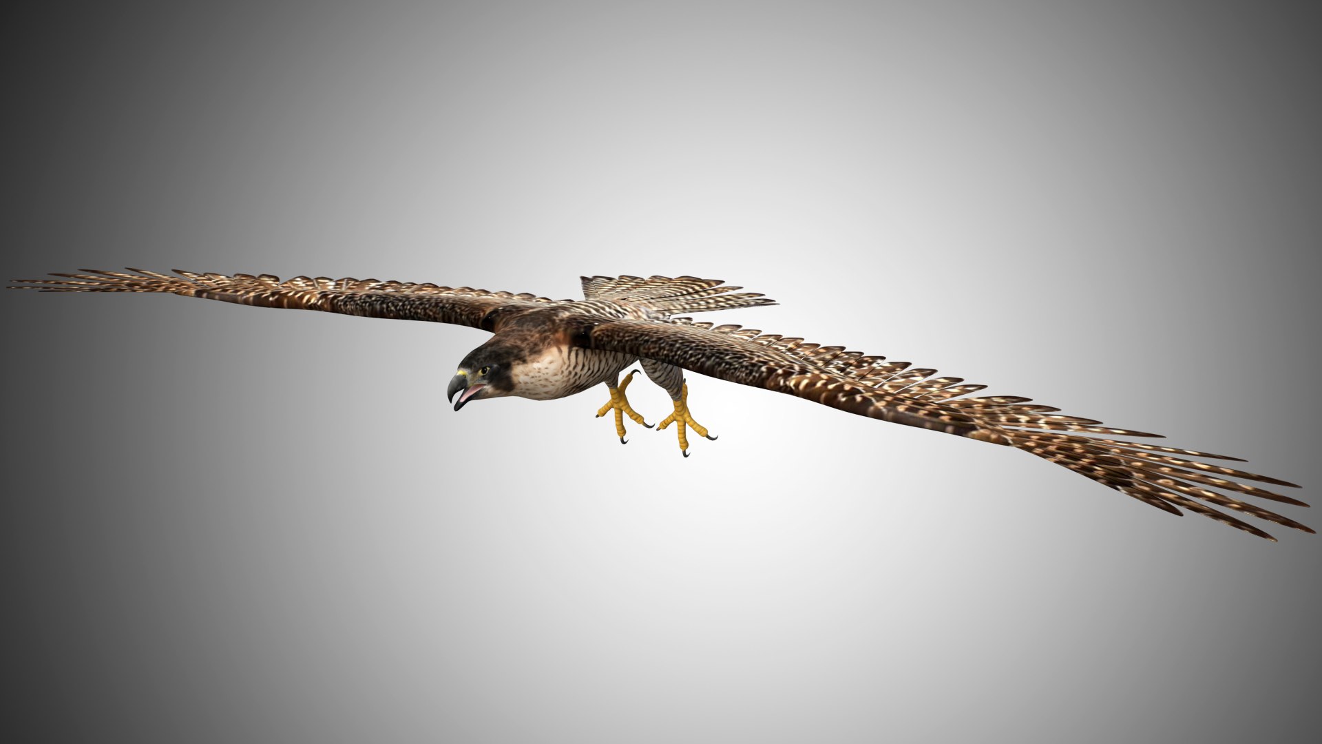 3D rigged realistic https://p.turbosquid.com/ts-thumb/H0/2rpGYF/TuKb62Fk/falcon_fly03/jpg/1598220226/1920x1080/fit_q87/baf1528f7aae7f2cf908b4ee9d4bd20ee87c0dfc/falcon_fly03.jpg