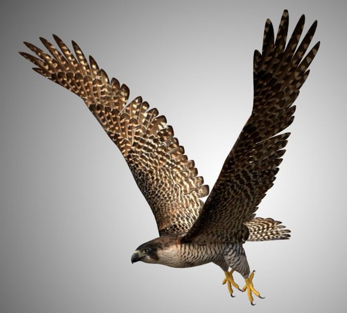 3D rigged realistic https://p.turbosquid.com/ts-thumb/H0/2rpGYF/aghxQflm/00/jpg/1598220226/1920x1080/fit_q87/ddd28893f30d67800c035dac2de1e8c28cd01377/00.jpg