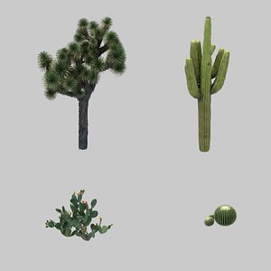 blood ritual canyon - 3D model