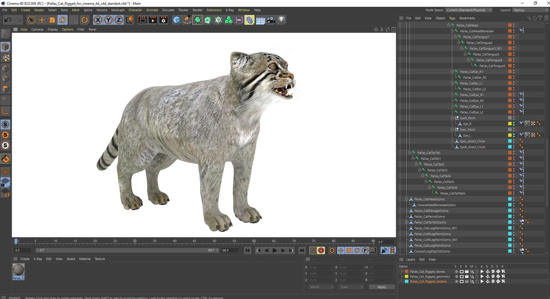 3D Pallas Cat Rigged For Cinema 4D Model - TurboSquid 2221966