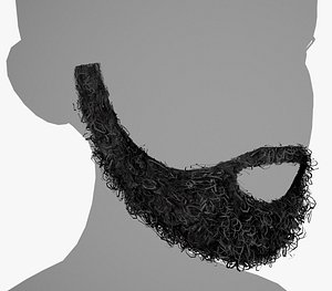 3D Facial Hair Cards Style 7 - Full Curly Beard model