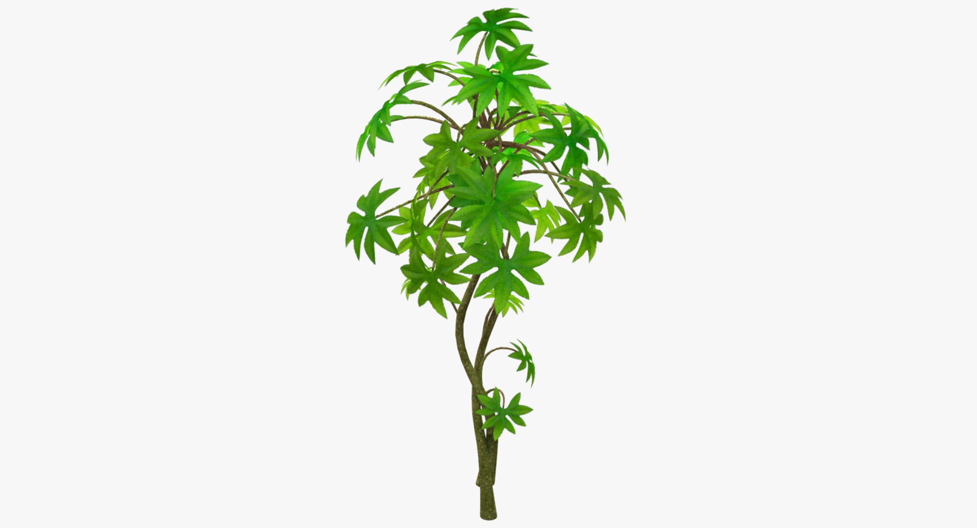 Small Tree 3D - TurboSquid 1171999