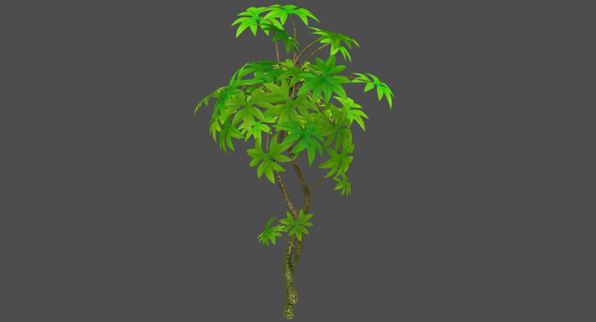 Small Tree 3D - TurboSquid 1171999