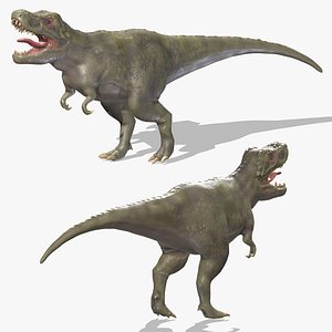 Tyrannosaurus 01 Low Poly PBR Realistic model